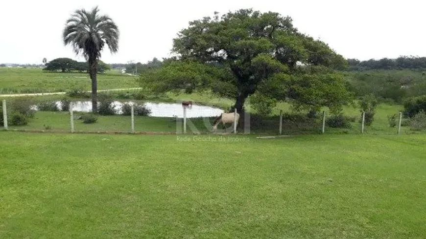 Foto 1 de Fazenda/Sítio com 1 Quarto à venda, 61m² em Lami, Porto Alegre