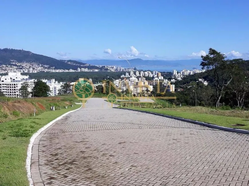 Foto 1 de Lote/Terreno à venda, 490m² em Itacorubi, Florianópolis