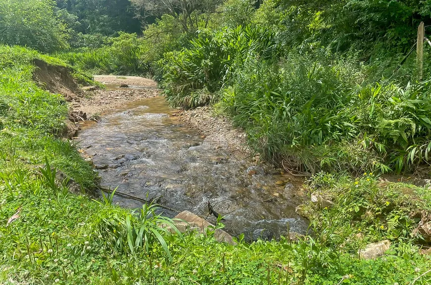 Foto 1 de Fazenda/Sítio à venda, 200000m² em Bocaiuva Do Sul, Bocaiúva do Sul