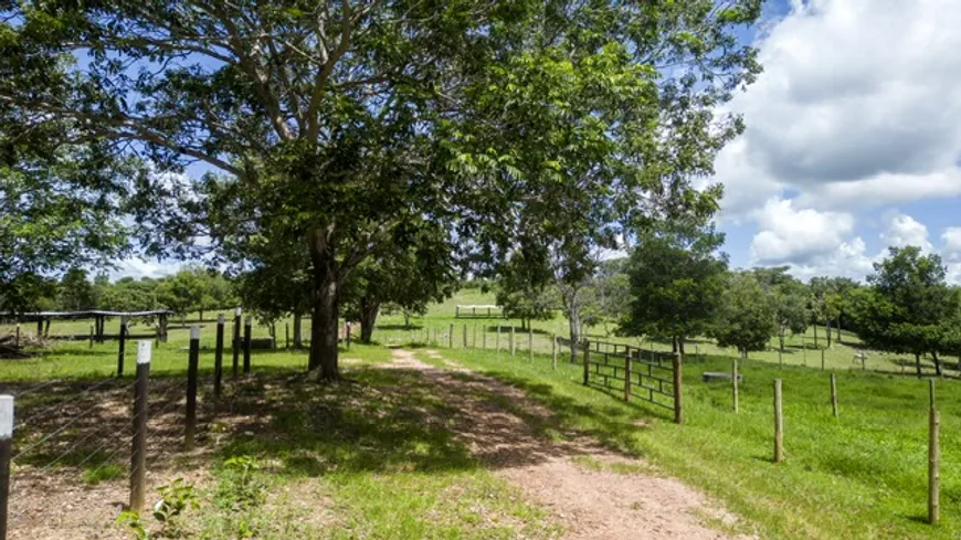 Foto 1 de Fazenda/Sítio com 5 Quartos à venda, 719224m² em , Nova América