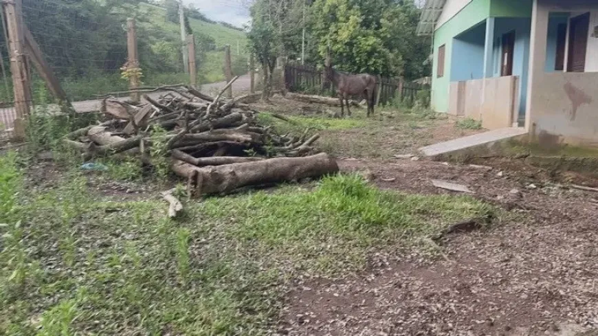 Foto 1 de Fazenda/Sítio com 3 Quartos à venda, 7m² em , Santo Antônio da Patrulha