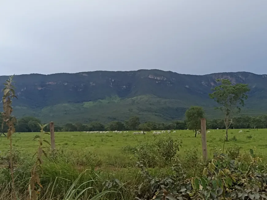 Foto 1 de Fazenda/Sítio com 2 Quartos à venda, 100m² em Area Rural de Formosa, Formosa