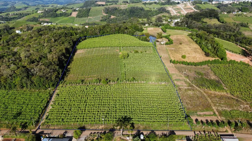 Foto 1 de Fazenda/Sítio à venda, 24000m² em Zona Rural, Monte Belo do Sul