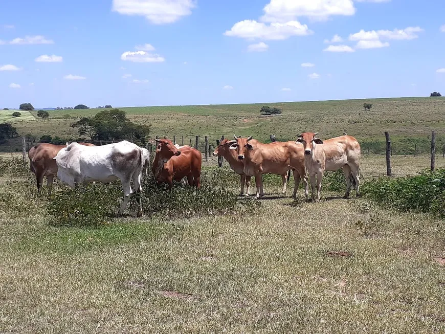 Foto 1 de Fazenda/Sítio à venda, 975937m² em Area Rural de Birigui, Birigui