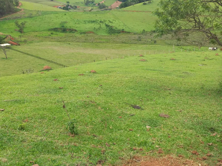 Foto 1 de Fazenda/Sítio com 2 Quartos à venda, 180000m² em Zona Rural, São José do Alegre