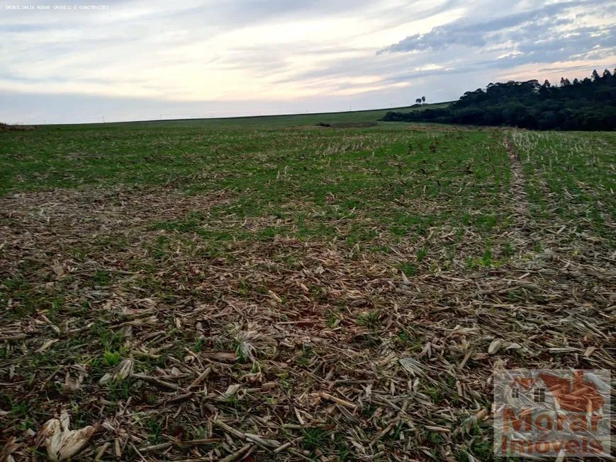 Foto 1 de Fazenda/Sítio à venda, 255m² em Braz I, Avaré