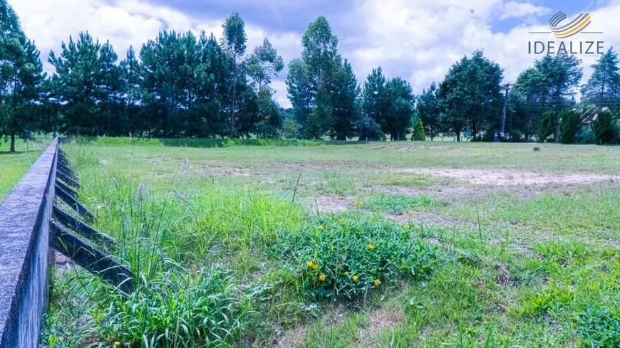 Foto 1 de Lote/Terreno à venda, 3639m² em Campo Largo da Roseira, São José dos Pinhais