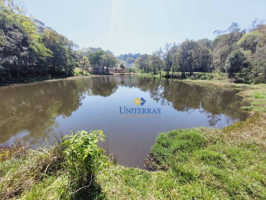 Foto 1 de Fazenda/Sítio com 1 Quarto à venda, 34260m² em Itajacuru, Colombo