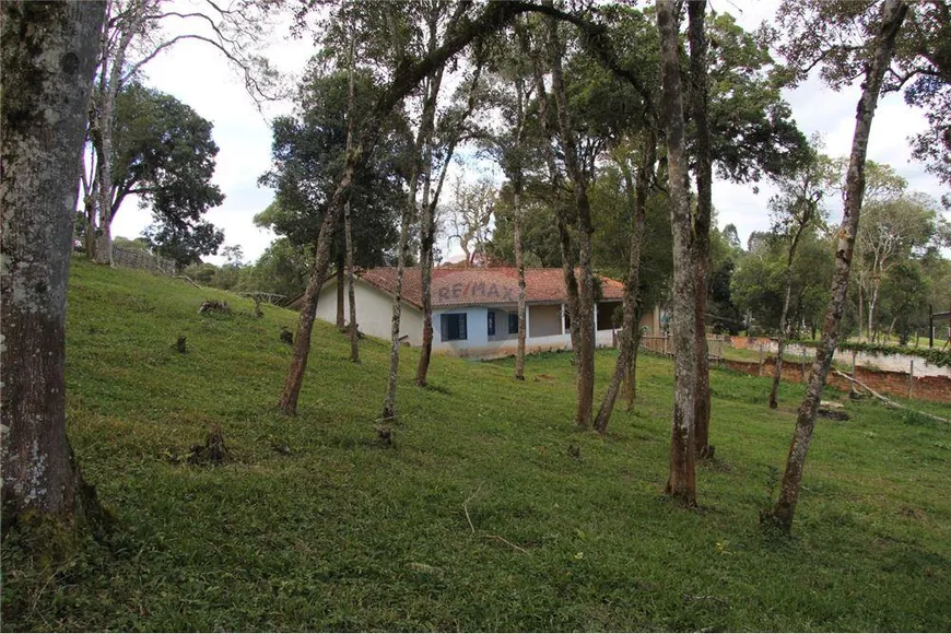 Foto 1 de Fazenda/Sítio com 3 Quartos à venda, 4001m² em Borda do Campo, São José dos Pinhais