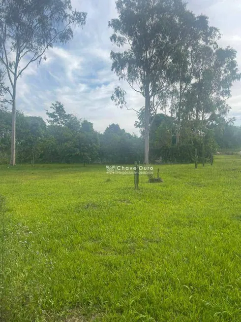 Foto 1 de Lote/Terreno à venda, 3000m² em Morumbi, Cascavel