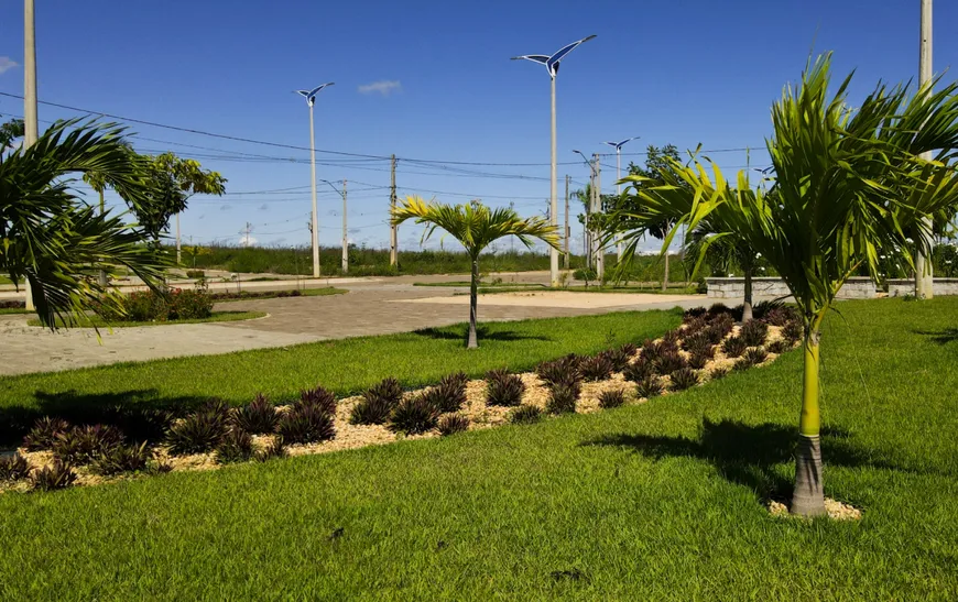 Foto 1 de Lote/Terreno à venda, 264m² em Tabajaras, Teresina