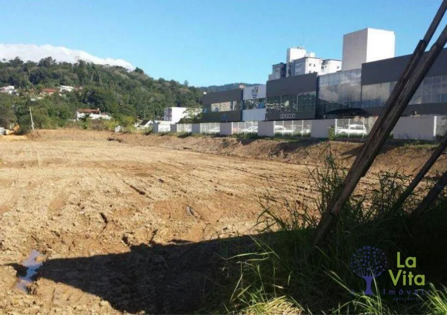 Foto 1 de Lote/Terreno à venda, 10773m² em Centro, Blumenau