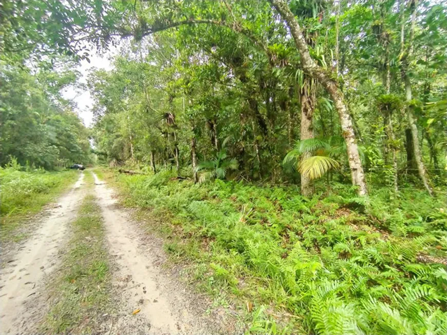 Foto 1 de Lote/Terreno à venda, 5000m² em Jardim Ouro Fino, Paranaguá