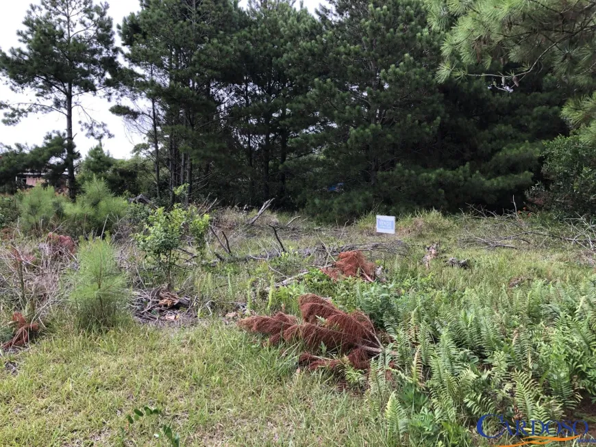 Foto 1 de Lote/Terreno à venda, 300m² em Balneário Atlântico, Arroio do Sal