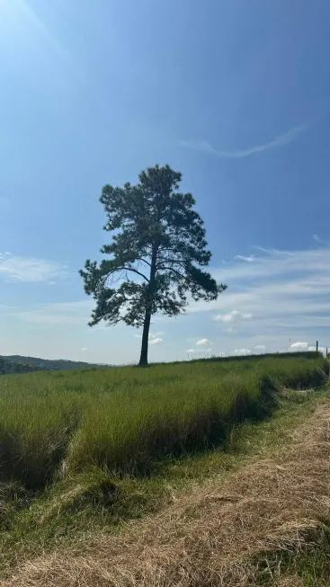 Foto 1 de Lote/Terreno à venda, 500m² em Verava, Ibiúna