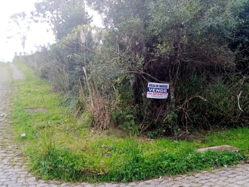 Foto 1 de Lote/Terreno à venda, 360m² em São Luiz, Caxias do Sul