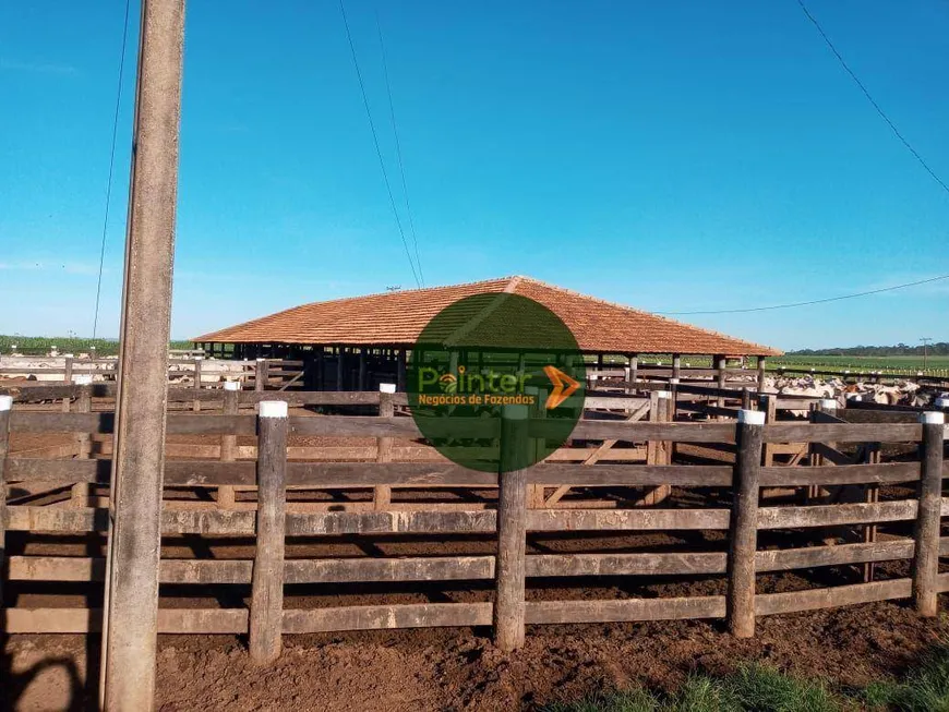 Foto 1 de Fazenda/Sítio à venda, 51546000m² em Zona Rural, Campos Belos