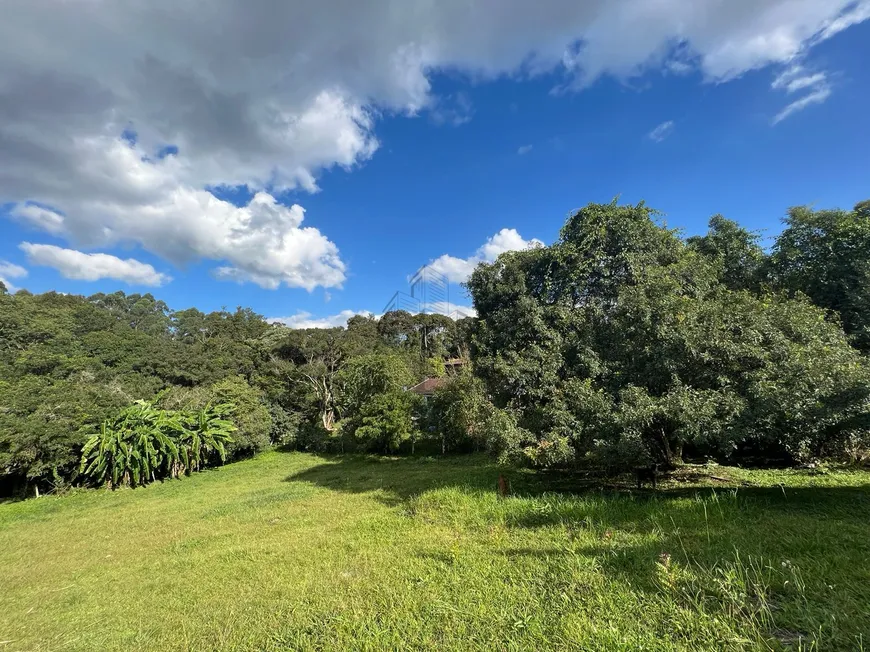 Foto 1 de Lote/Terreno à venda, 2564m² em Vila Franca, Piraquara