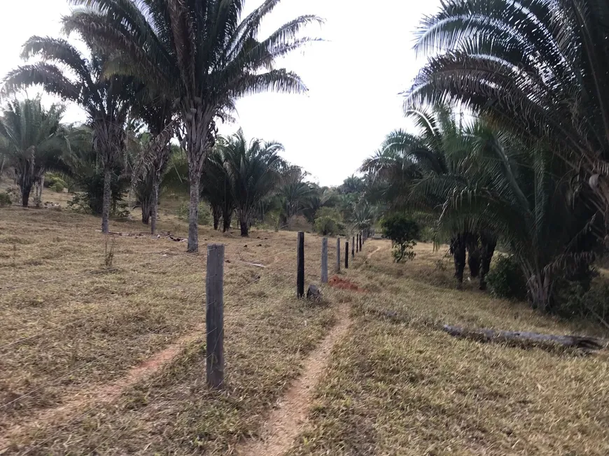 Foto 1 de Fazenda/Sítio com 4 Quartos à venda, 2070000m² em , Água Fria de Goiás