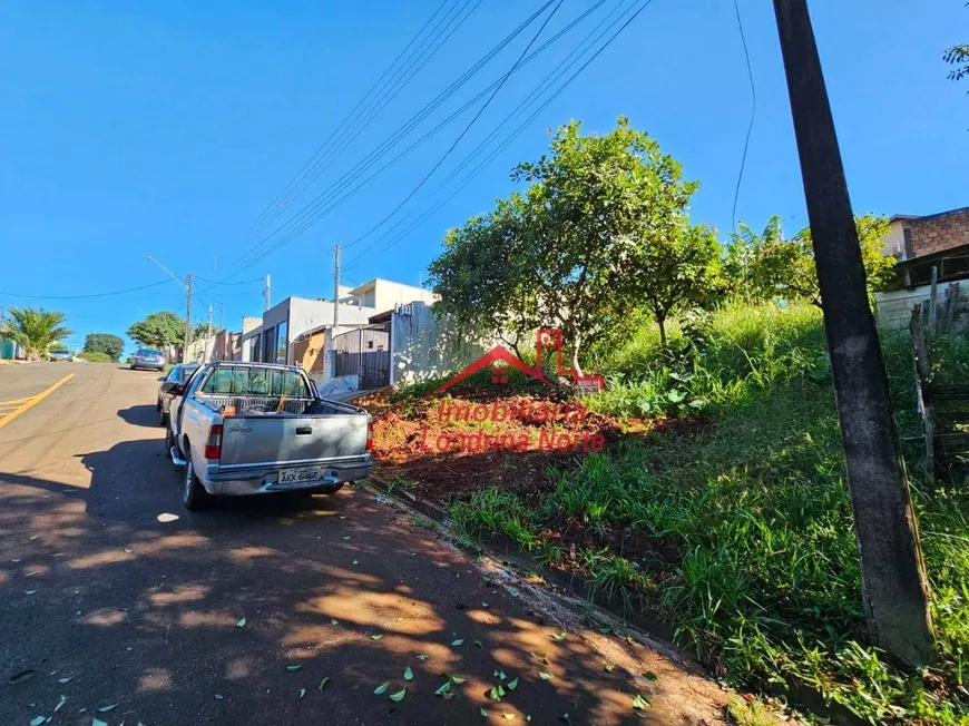 Foto 1 de Lote/Terreno à venda, 250m² em Jardim das Palmeiras, Londrina