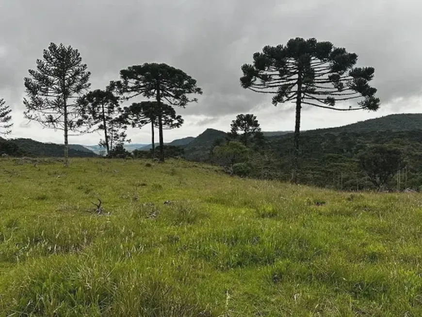 Foto 1 de Lote/Terreno à venda, 20000m² em Zona Rural, Urubici