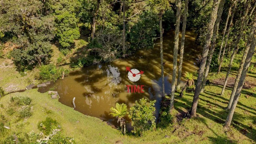 Foto 1 de Fazenda/Sítio com 5 Quartos à venda, 129m² em Borda do Campo, São José dos Pinhais