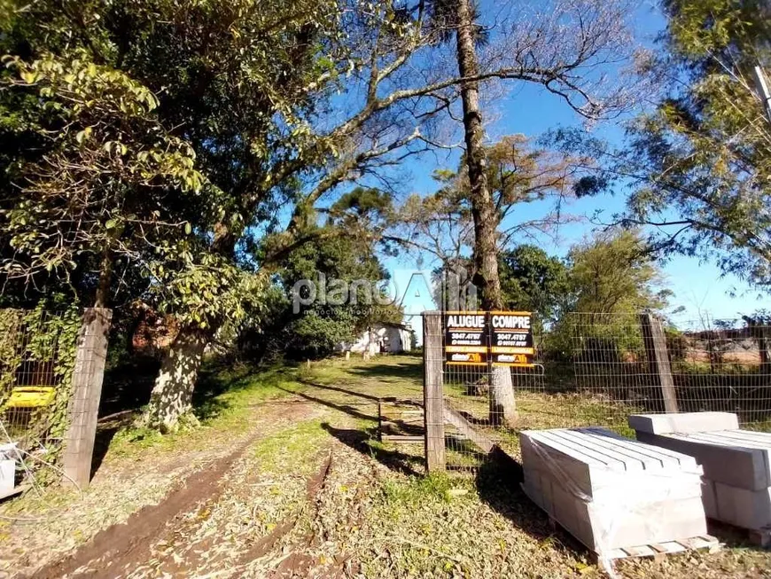 Foto 1 de Lote/Terreno à venda, 3850m² em São Vicente, Gravataí