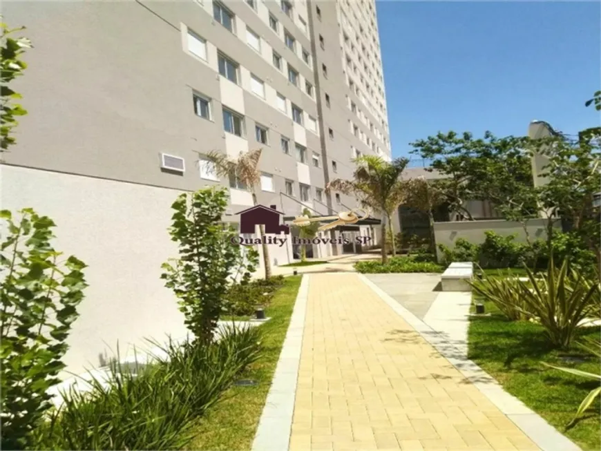 Foto 1 de Apartamento com 1 Quarto para alugar, 34m² em Cambuci, São Paulo