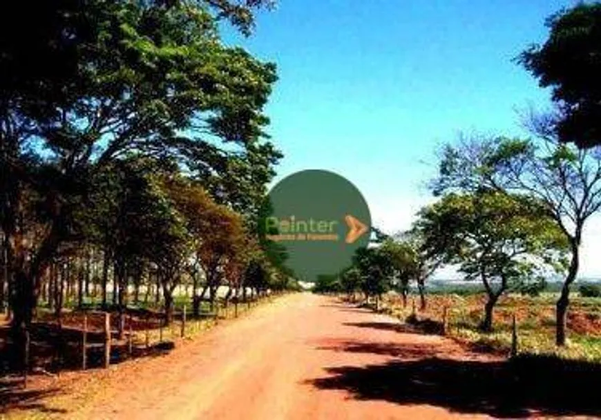 Foto 1 de Fazenda/Sítio à venda, 24611400m² em Zona Rural, Ourinhos