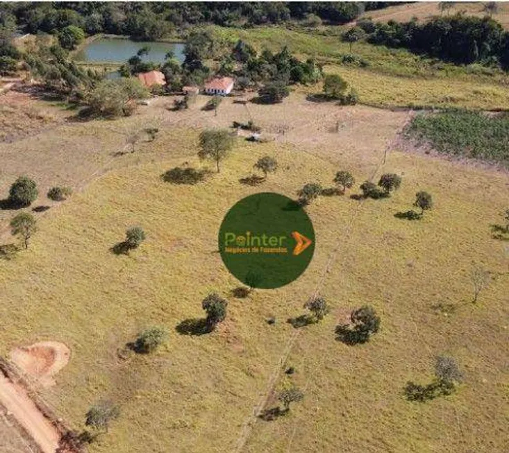 Foto 1 de Fazenda/Sítio à venda, 242000m² em Zona Rural, São Miguel do Passa Quatro