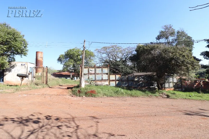 Foto 1 de Galpão/Depósito/Armazém à venda, 700m² em Perobinha, Londrina