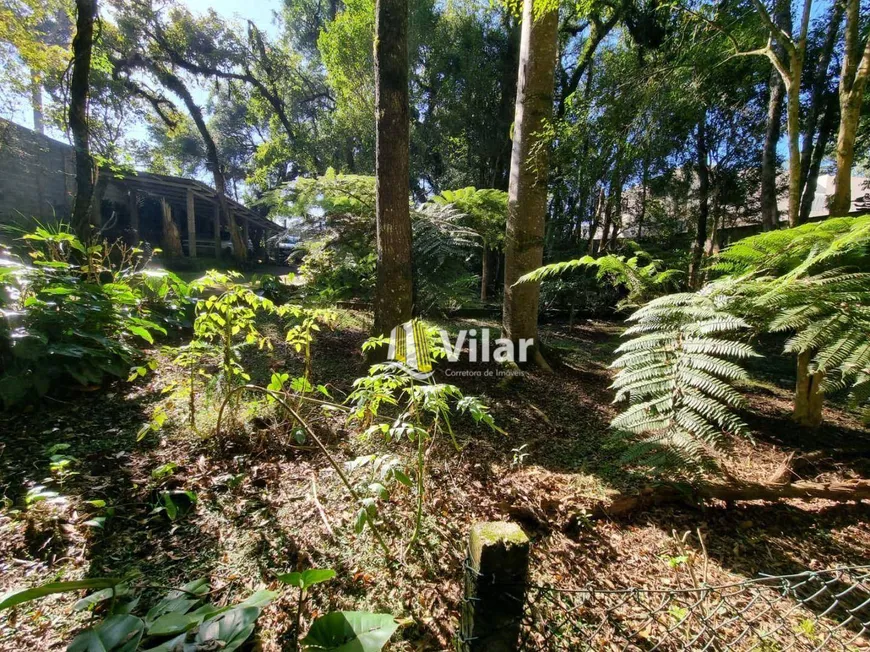 Foto 1 de Fazenda/Sítio com 3 Quartos à venda, 350m² em Vila Sao Cristovao, Piraquara