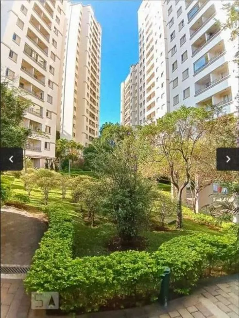 Foto 1 de Apartamento com 3 Quartos à venda, 69m² em Vila Isa, São Paulo