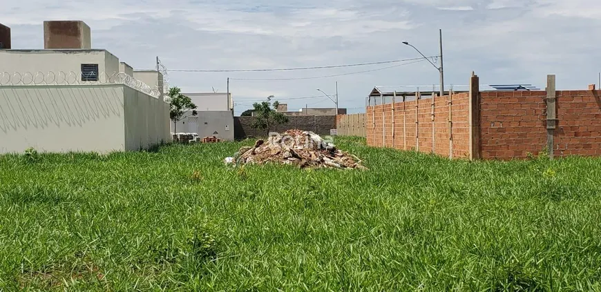 Foto 1 de Lote/Terreno à venda, 300m² em Minas Gerais, Uberlândia