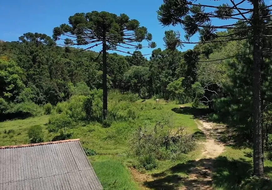 Foto 1 de Fazenda/Sítio com 1 Quarto à venda, 400000m² em Centro, Bocaiúva do Sul