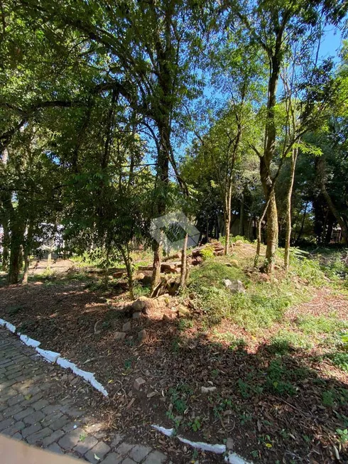 Foto 1 de Lote/Terreno à venda, 450m² em Roselandia, Passo Fundo