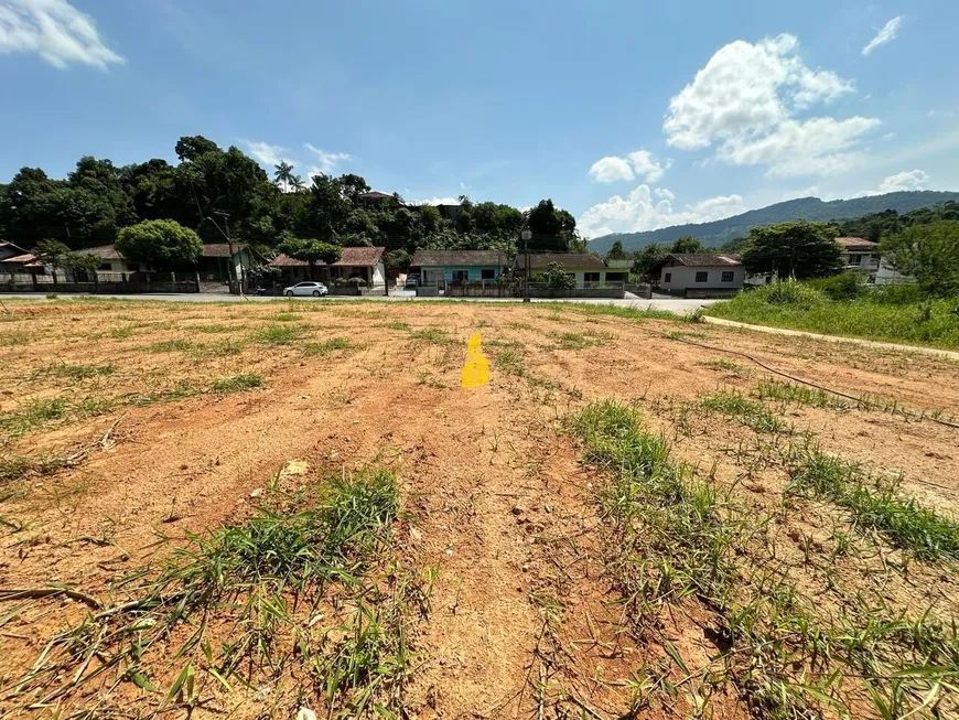 Foto 1 de Lote/Terreno à venda, 448m² em Araponguinhas, Timbó