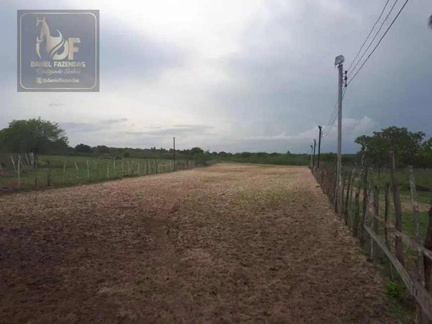 Foto 1 de Fazenda/Sítio com 4 Quartos à venda, 27000m² em Trairas, Macaíba
