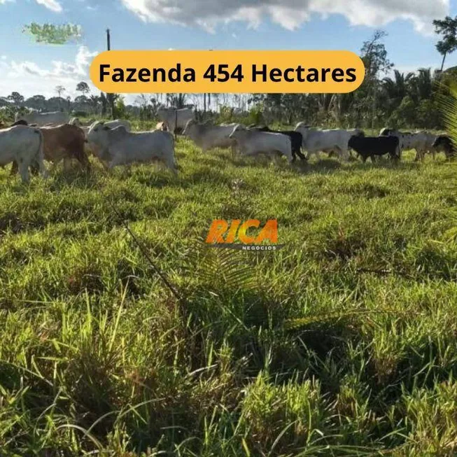 Foto 1 de Fazenda/Sítio com 1 Quarto à venda, 4540000m² em , Candeias do Jamari