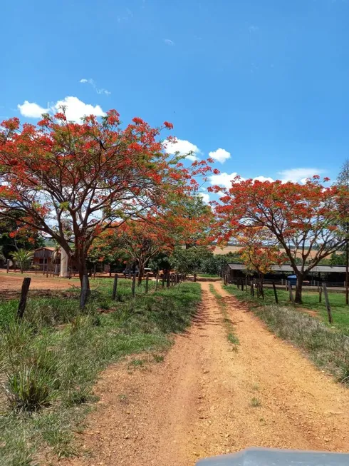 Foto 1 de Fazenda/Sítio com 3 Quartos à venda, 1452000m² em , Mairipotaba