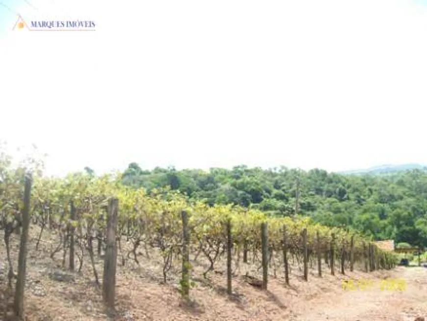 Foto 1 de Fazenda/Sítio com 2 Quartos à venda, 100m² em Engenho Seco, Louveira