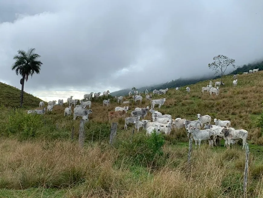 Foto 1 de Fazenda/Sítio com 4 Quartos à venda, 1500m² em Centro sambaetiba, Itaboraí