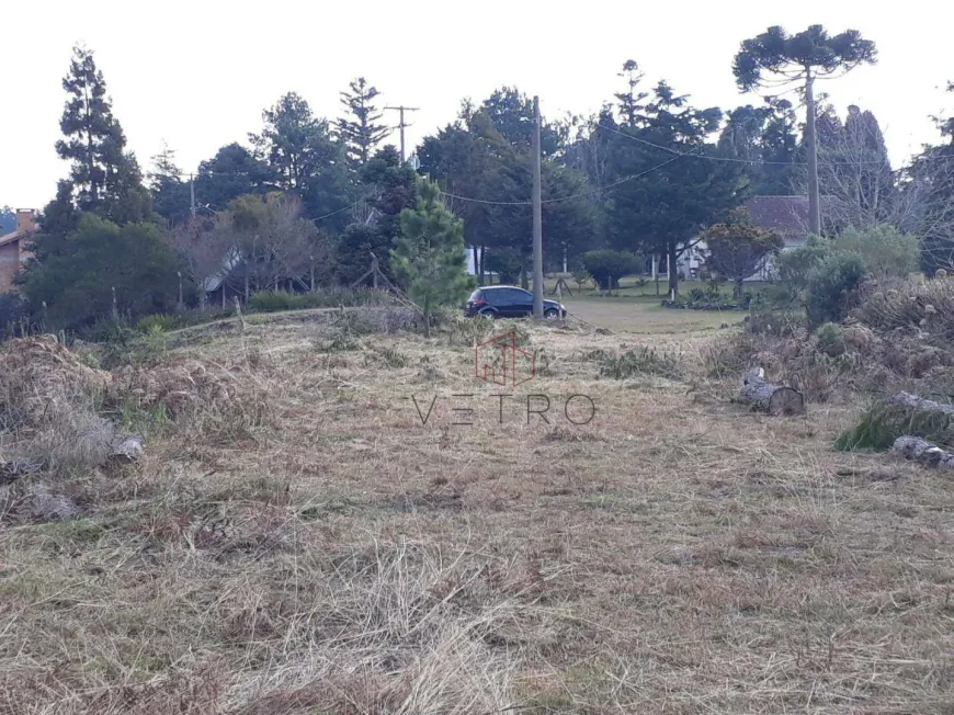 Foto 1 de Lote/Terreno à venda, 2522m² em , São Francisco de Paula