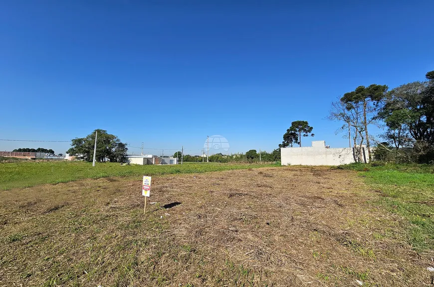 Foto 1 de Lote/Terreno à venda, 439m² em Rio Pequeno, São José dos Pinhais