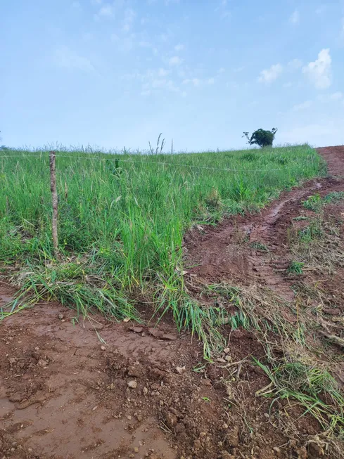 Foto 1 de Lote/Terreno à venda, 1000m² em Centro, Atibaia