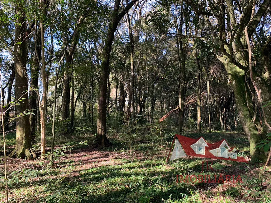 Foto 1 de Fazenda/Sítio com 1 Quarto à venda, 36500m² em Zona Rural, Fazenda Rio Grande