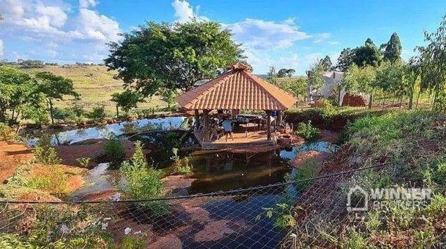 Foto 1 de Fazenda/Sítio com 3 Quartos à venda, 70432m² em , Bom Sucesso