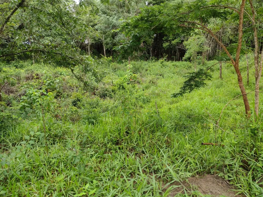 Foto 1 de Fazenda/Sítio à venda, 20000m² em Centro, Fortuna de Minas