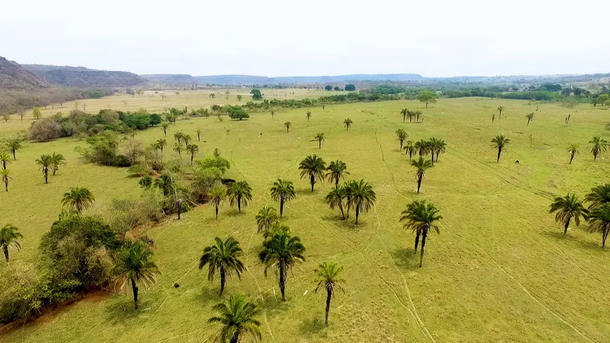 Foto 1 de Fazenda/Sítio à venda, 1244800m² em Centro, Campina Verde