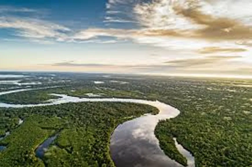 Foto 1 de Fazenda/Sítio à venda, 100000000m² em Centro, Manaus